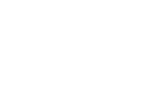 Vision Travel LLC